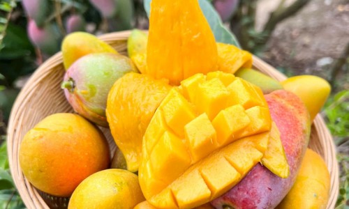 宝宝几个月吃辅食好-宝宝几个月可以吃海参-宝宝几个月吃盐最合适,中国宝宝几个月才可以吃盐网站